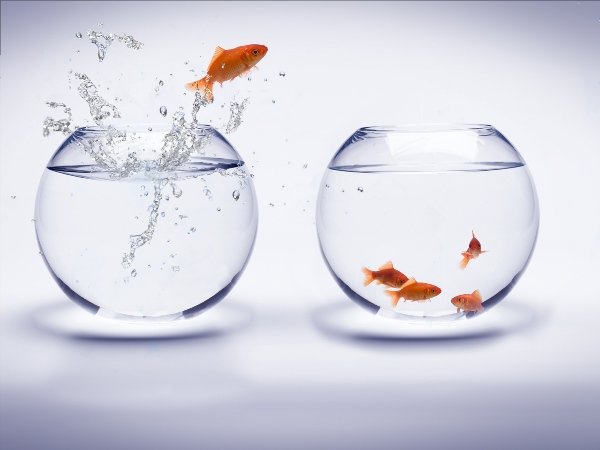 La maîtrise des processus externalisés