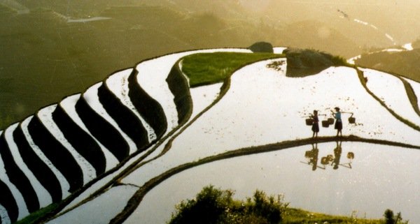 Et si le monde était un village de 1000 habitants ?