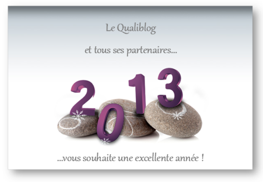 Qualiblog - Voeux 2013